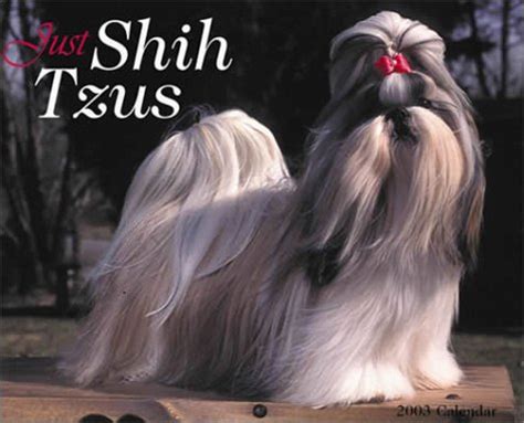 Buy Just Shih Tzus Book Online at Low Prices in India | Just Shih Tzus ...