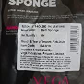 Vega Orange Sponge : Amazon.in: Beauty