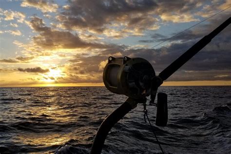 4 Hour Private Sunset Fishing Charter 2024 - Big Island of Hawaii - Viator