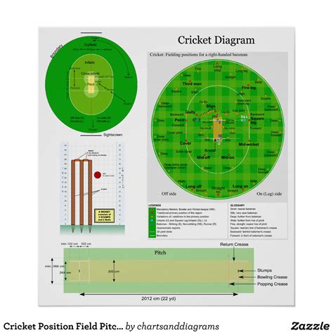 Cricket Field Dimensions Layout