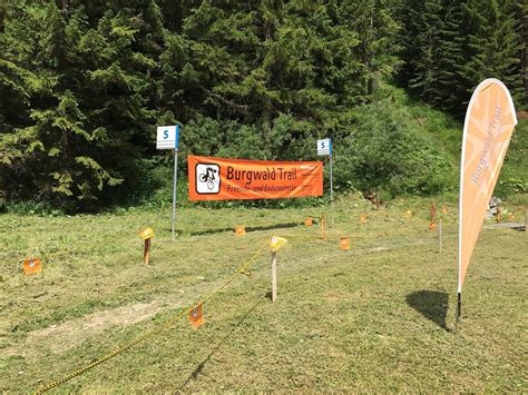 BURGWALD BIKE TRAIL (2025) All You Need to Know BEFORE You Go (with ...