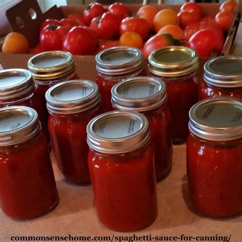 Homemade Spaghetti Sauce Using Canned Diced Tomatoes at Lucretia Peck blog