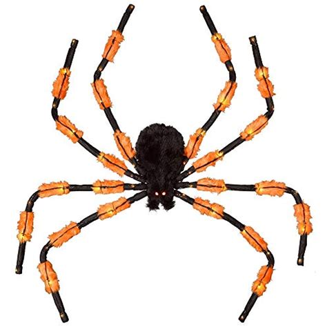 Orange And Black Spider