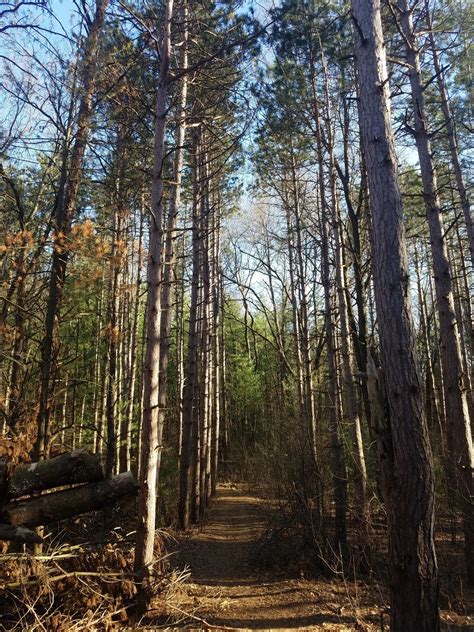 Provin Trails Park, Grand Rapids holiday accommodation: holiday houses ...