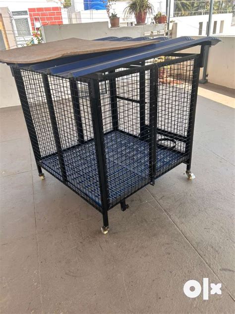 Foldable Cage for Big Dog - Pet Food & Accessories - 1798822532