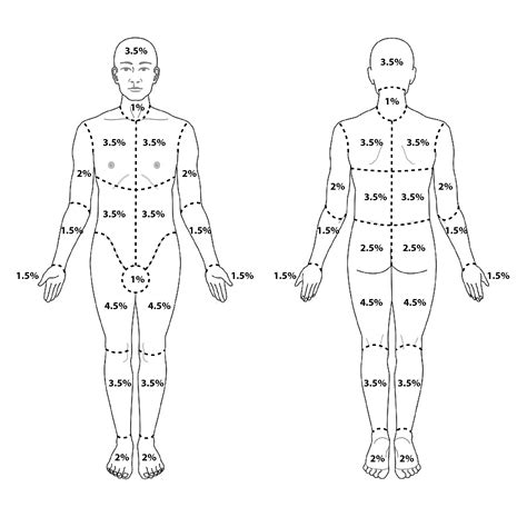 Modified Lund and Browder with no key – ProlongedFieldCare.org