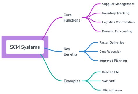 Management Information Example 的图像结果