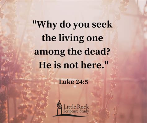 Image result for Https Littlerockscripture.org Lectures