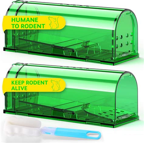 Image result for Exploding Mouse Trap