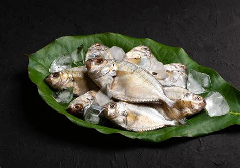 Home | Fish Basket