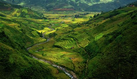 Image result for Vietnam Shell Exploding