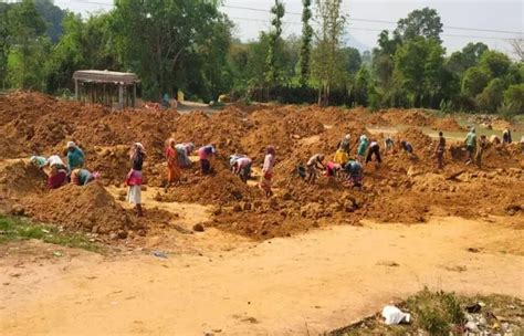 Odisha से Ground Report: लगातार हटाए जा रहे Job Card, MGNREGA मजदूरों ...