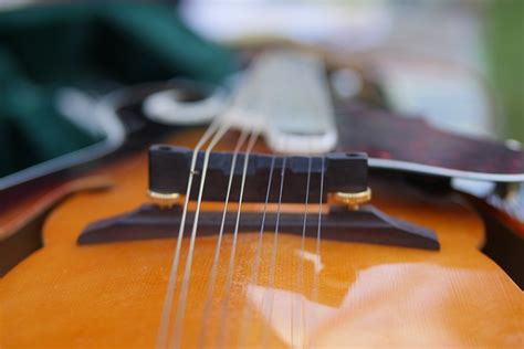 Image result for Fiddle Instrumental