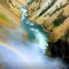 All the creatures on Earth are important in some way, however ---- or ...