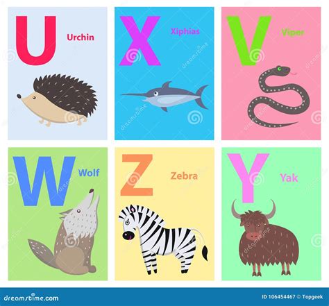 El Alfabeto Letra U, X, V, W, Z, Y Fijada Con El Animal Ilustración del ...