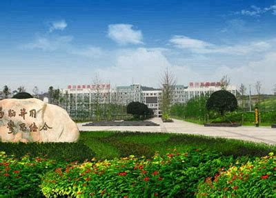 专业 国际 宁波外事学校创新型教育模式-新闻中心-中国宁波网