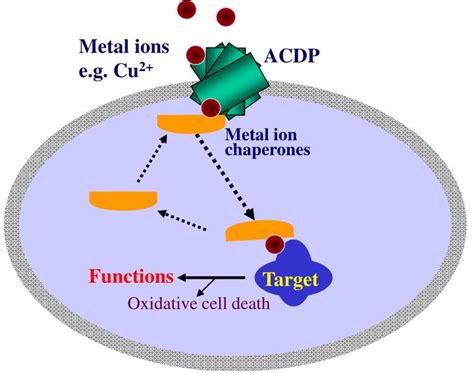 Image result for Acdp Tutorials