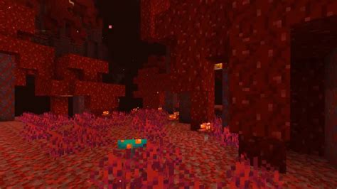 Image result for Nether Update Release Date