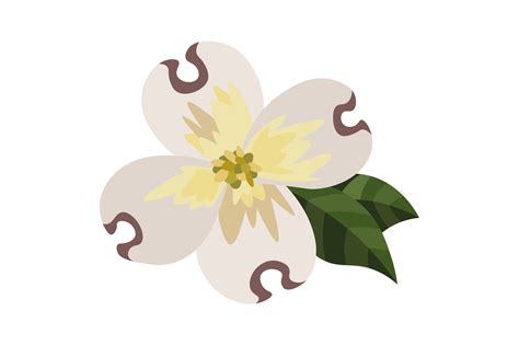 North Carolina State Flower - Cornus Florida SVG Cut file by Creative ...