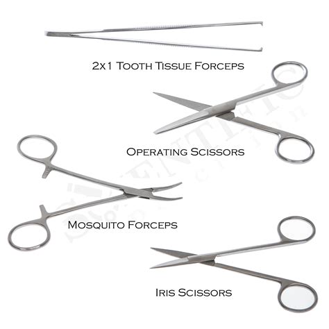 Dissection Tools