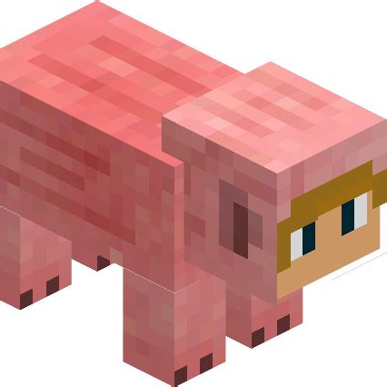 Image result for Minecraft 3rd Life Mod