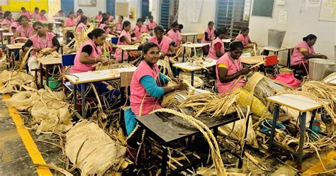 How the invasive water hyacinth has helped build a livelihood