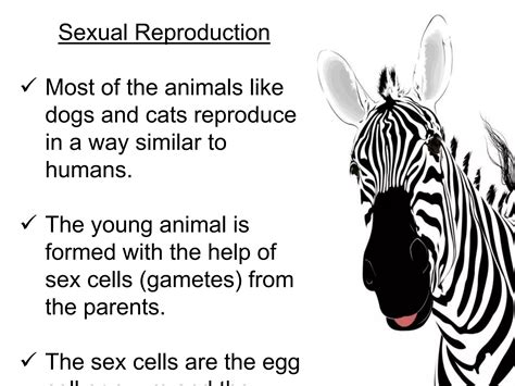 Image result for Reproduction in Animals Practical Video