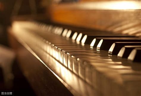钢琴教学 入门篇视频 _网络排行榜