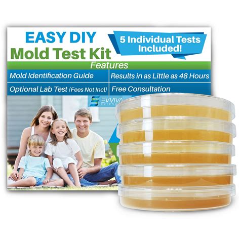 Snapklik.com : Evviva Sciences Mold Test Kit For Home - 5 Simple ...