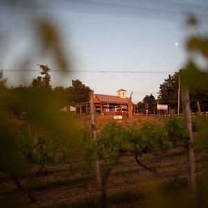 Public Scene @ Cherry Creek.. a very cool winery , Brooklyn, Michigan ...