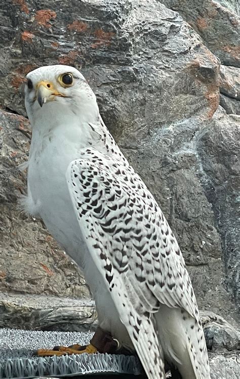 Jenny’s (me) two bits; Hmmmmm 2/8/2024 | by jennydwyer | Feb, 2024 | Medium