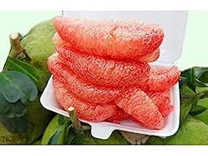 Sharmin Enterprises Rare Grafted Sweet Pomelo Citrus " KAMBILI NARANGA ...