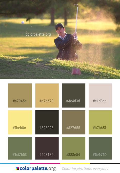 Image result for Golf Course Colorant Application