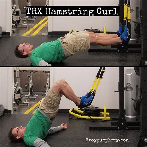 TRX Leg Curl 的图像结果