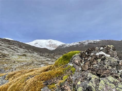 The technicolor world of life after glaciers | College of Biological ...