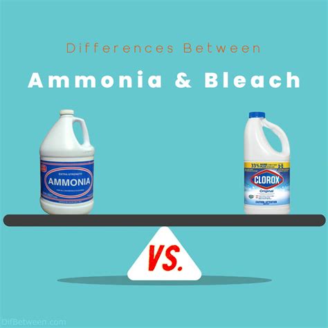 Ammonia vs Bleach Differences: Choose Your Cleaning Ally Wisely