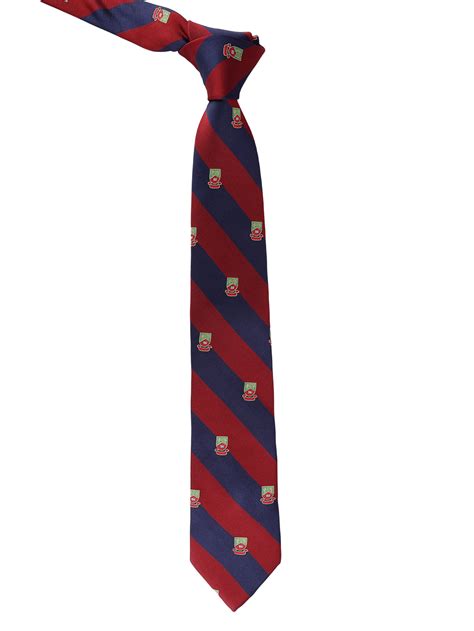 Premium Maroon & Blue Striped Formal Tie With Motifs For Men – Alvaro ...