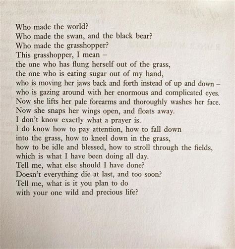 The Summer Day by Mary Oliver. : wholesome