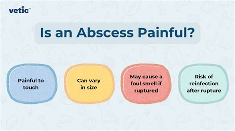 Jaundice in Dogs: Signs, Causes, Treatment and Prognosis