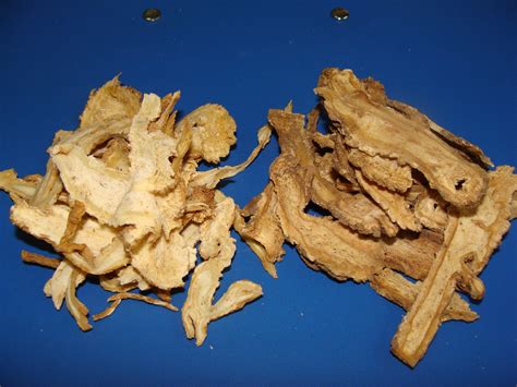 Dr. Xie's Jing Tang Herbal, Inc > Quality > Concerns and Controls