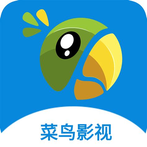 SEO老鸟与SEO菜鸟的区别-腾讯云开发者社区-腾讯云