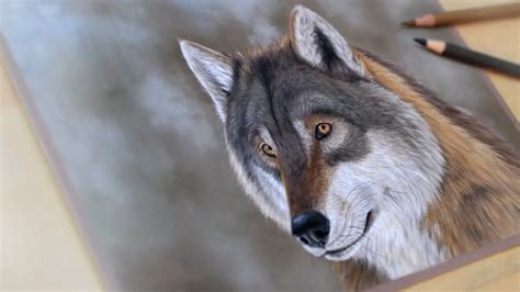 Image result for wolves drawing tutorial