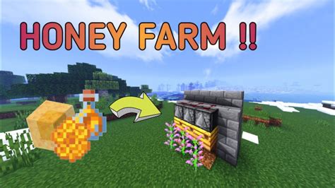 Image result for Minecraft Java 1.17 Honey Farm