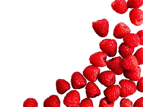 8 Berries - The World of Berries