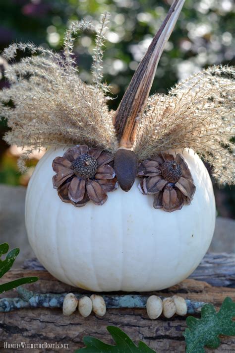 What a Hoot: No-Carve Pumpkin Owls! | Owl pumpkin, Pumpkin decorating ...