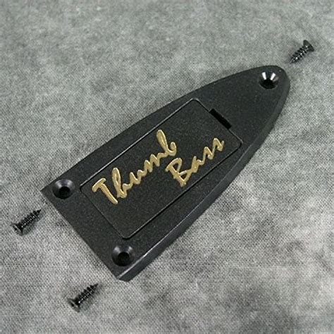 Buy Warwick Thumb NT Truss Rod Cover Plate & Screws Neck Thru Bass ...