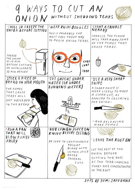 9 Ways to Cut an Onion Without Shedding Tears « The Secret Yumiverse :: WonderHowTo