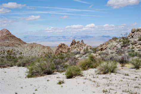 DT20 day 7 – Sheephole Valley – Walking to the light