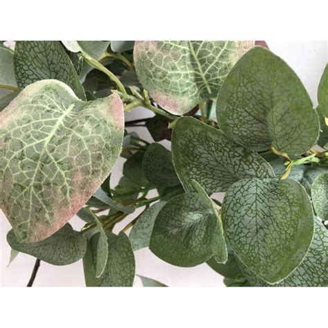 Glitzhome 24-in Indoor Green Eucalyptus Artificial Christmas Wreath at ...