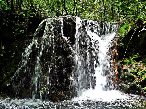 Rincon de La Vieja Tourism (2024): All You Need to Know Before You Go